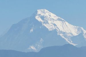 397562632_2569651456525024_8058771521329413769_n (1)