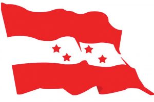 Congress_flag