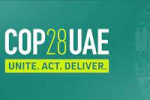 Cop_28_