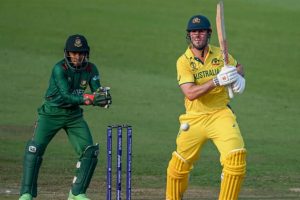 Cricket_photo