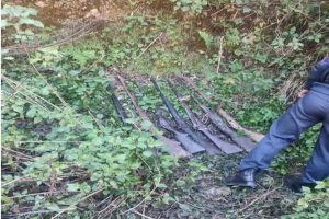 FB_IMG_1768122778567