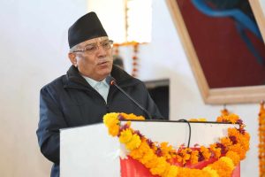 PM_Rolpa