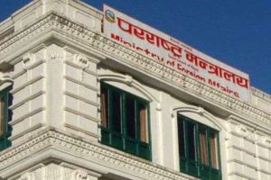 CREATOR: gd-jpeg v1.0 (using IJG JPEG v80), quality = 60