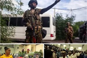 Screenshot_20260311_084744_Lite