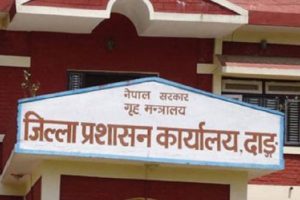 डिएओदाङ_1941550802