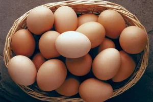 egg_WxMacl4hYZ