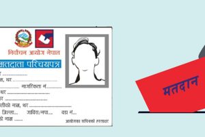 election-voterlist_20220210065227_ze84NXgVxo