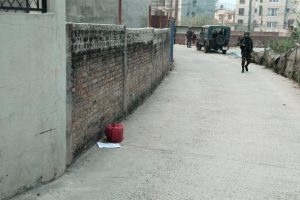 nagarjun-sankaspad-bastu-1024x607