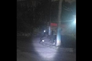 sankaspad_Lo6fzsf67f