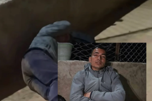 snap-pro-1774246809870