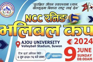 vallyball